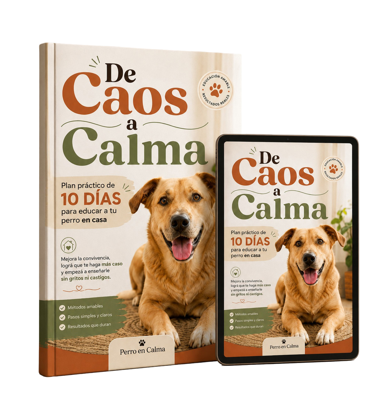 Mockup del producto digital De Caos a Calma en libro y tablet